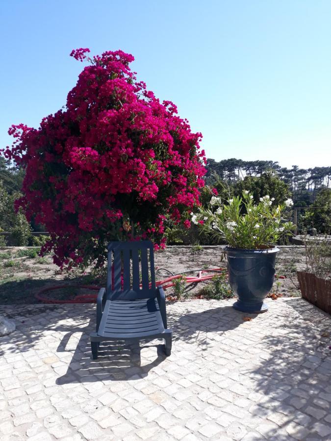 Plage Et Foret Pobral Bagian luar foto